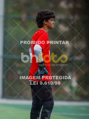 Detalhes da foto #8452216