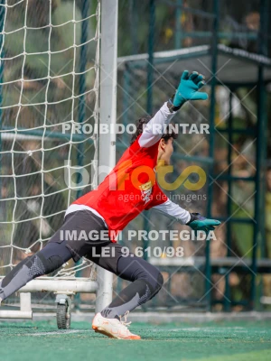 Detalhes da foto #5302960