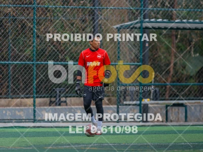 Detalhes da foto #3083544