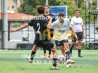 Detalhes da foto #56053