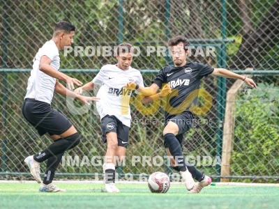 Detalhes da foto #53983