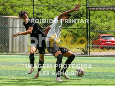 Detalhes da foto #58280