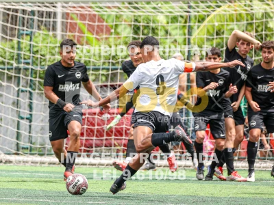 Detalhes da foto #55026