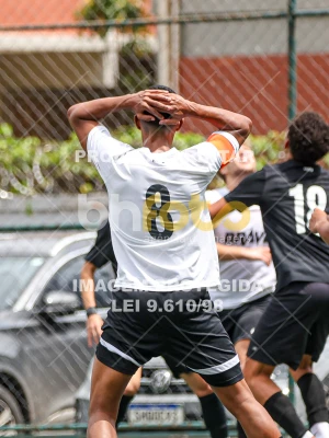 Detalhes da foto #13417