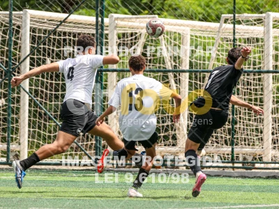 Detalhes da foto #79429