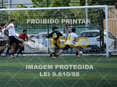 Detalhes da foto #2298124