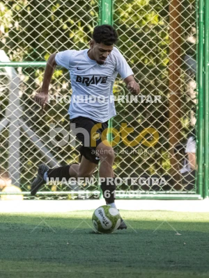 Detalhes da foto #3661242