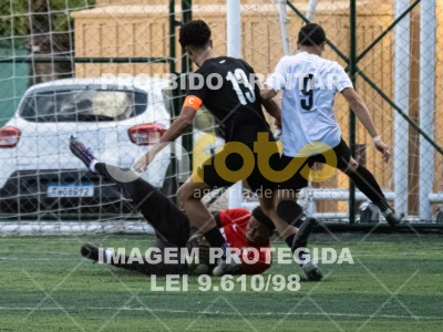 Detalhes da foto #8951243