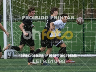 Detalhes da foto #3283503