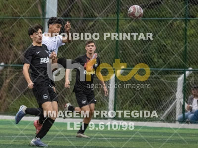 Detalhes da foto #4948476
