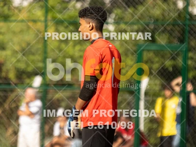 Detalhes da foto #7293910