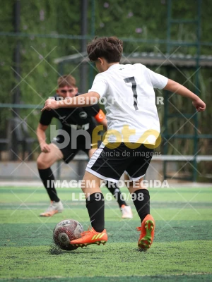 Detalhes da foto #70379