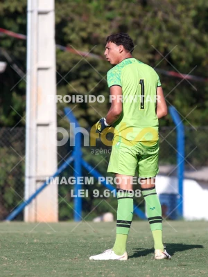 Detalhes da foto #88619