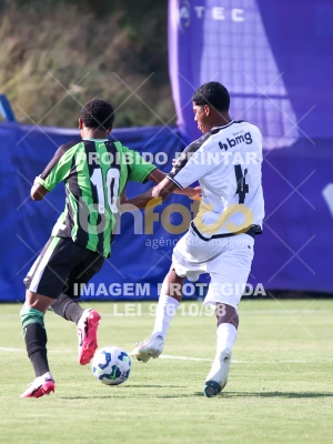 Detalhes da foto #52693