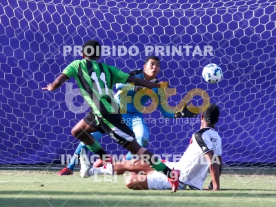Detalhes da foto #74472