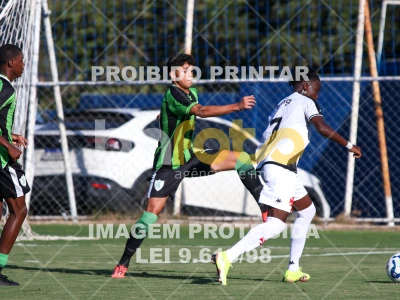 Detalhes da foto #25539