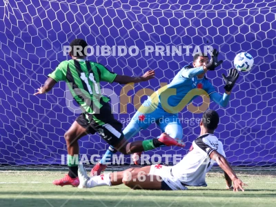 Detalhes da foto #54425