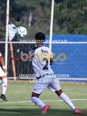 Detalhes da foto #54292