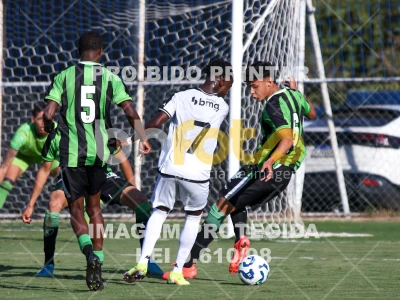 Detalhes da foto #79430