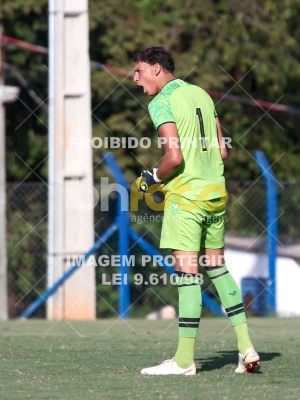 Detalhes da foto #97019