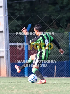 Detalhes da foto #11721