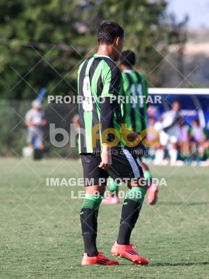 Detalhes da foto #15728