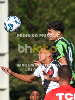 Detalhes da foto #91264