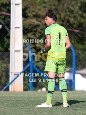 Detalhes da foto #42820