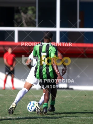 Detalhes da foto #94187