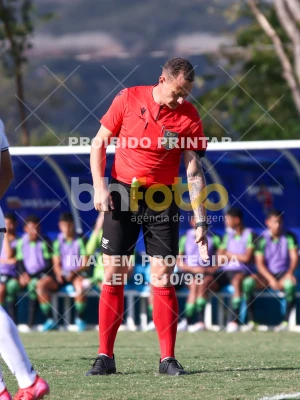 Detalhes da foto #19232