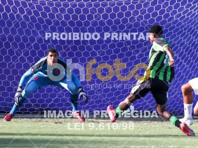Detalhes da foto #36715