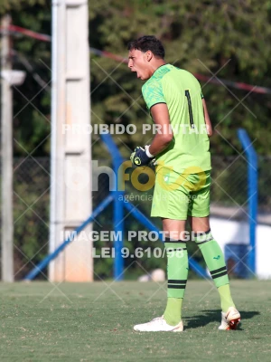 Detalhes da foto #26764