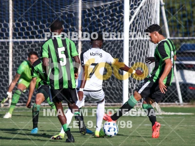 Detalhes da foto #88665
