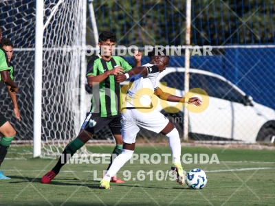 Detalhes da foto #65258