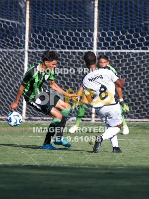 Detalhes da foto #38165