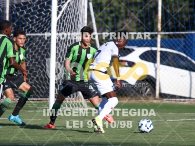 Detalhes da foto #64210
