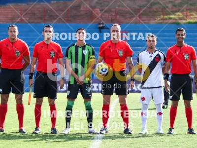 Detalhes da foto #56155