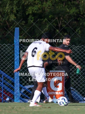 Detalhes da foto #67533