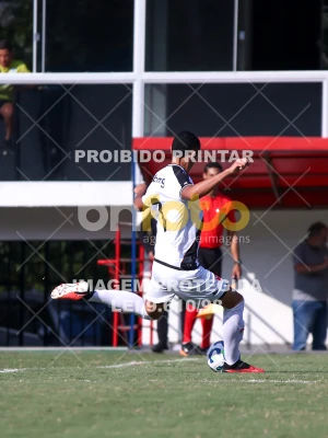 Detalhes da foto #11390