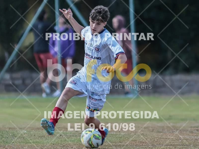 Detalhes da foto #96151