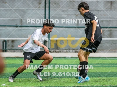 Detalhes da foto #83854