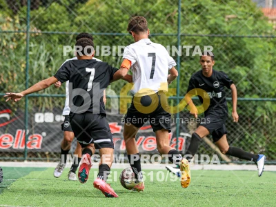 Detalhes da foto #18943