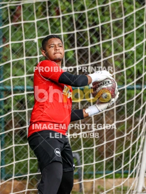 Detalhes da foto #62582