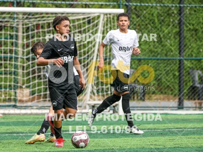 Detalhes da foto #10450