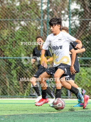 Detalhes da foto #81644