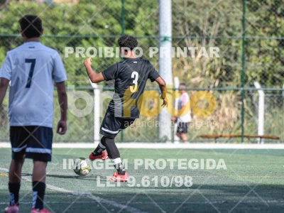 Detalhes da foto #3599913