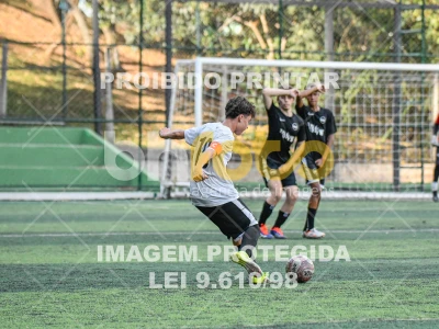 Detalhes da foto #3342045