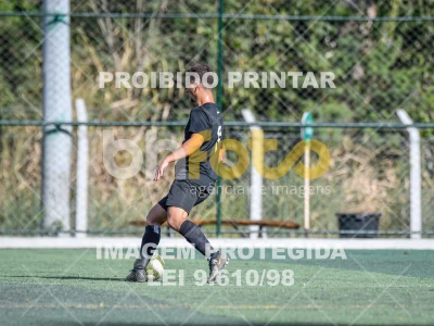 Detalhes da foto #2799844