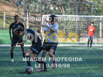 Detalhes da foto #4273720