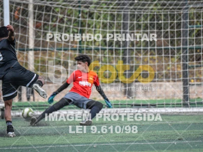 Detalhes da foto #2403435